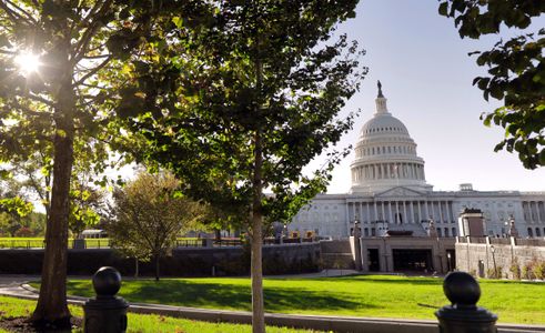 Sunlit Capitol View — 100-piece jigsaw puzzle