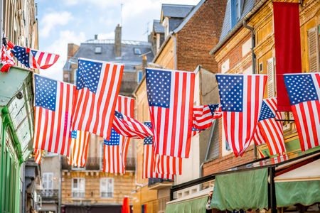 Flags in the Breeze — 200-piece jigsaw puzzle