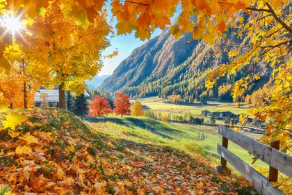 Autumn Valley Glow — 64-piece jigsaw puzzle