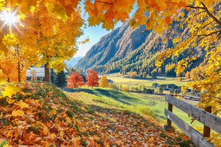 Autumn Valley Glow — 64-piece jigsaw puzzle