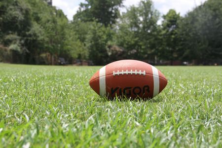 Football on Grass — 100-piece jigsaw puzzle