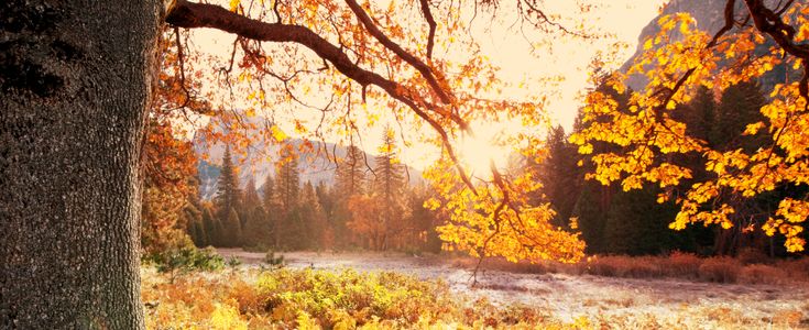 Golden Autumn Glow — 100-piece jigsaw puzzle