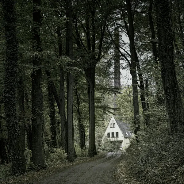 Secluded Forest Cottage — 64-piece jigsaw puzzle