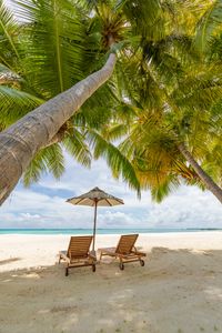 Tropical Beach Escape — 200-piece jigsaw puzzle