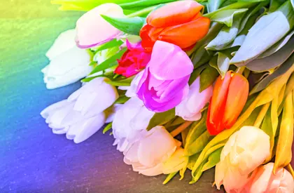 Vibrant Tulip Bouquet — 300-piece jigsaw puzzle