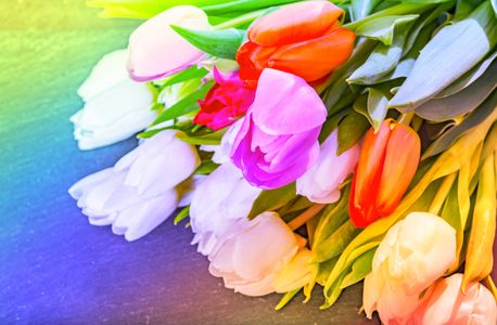 Vibrant Tulip Bouquet — 300-piece jigsaw puzzle