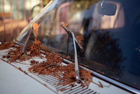 Autumn Leaves on Windshield — 400-piece jigsaw puzzle