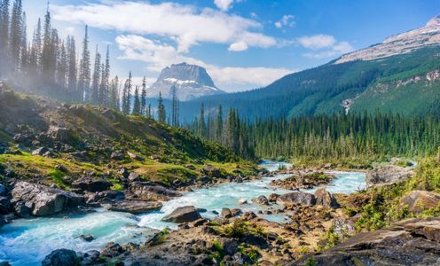 Serene Mountain Stream — 64-piece jigsaw puzzle