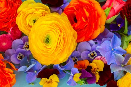 Vibrant Floral Symphony — 300-piece jigsaw puzzle