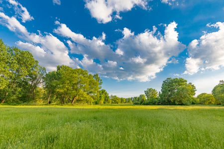 Tranquil Meadow Sky — 150-piece jigsaw puzzle