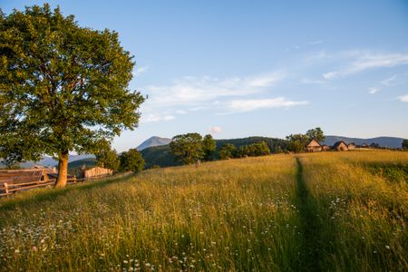Idyllic Countryside Meadow — 100-piece jigsaw puzzle