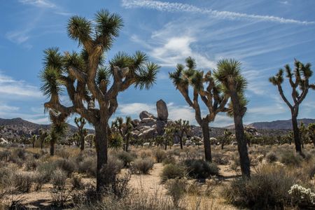 Majestic Desert Landscape — 500-piece jigsaw puzzle