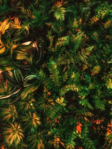 Lush Greenery Texture — 100-piece jigsaw puzzle