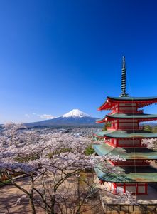Springtime in Japan — 200-piece jigsaw puzzle