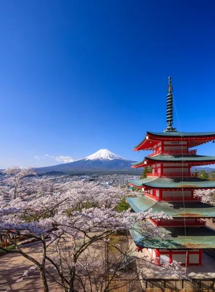 Springtime in Japan — 200-piece jigsaw puzzle