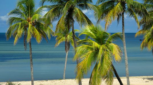 Tropical Paradise Beach — 400-piece jigsaw puzzle