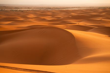 Golden Desert Waves — 100-piece jigsaw puzzle