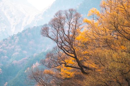 Autumn Mountain Serenity — 500-piece jigsaw puzzle