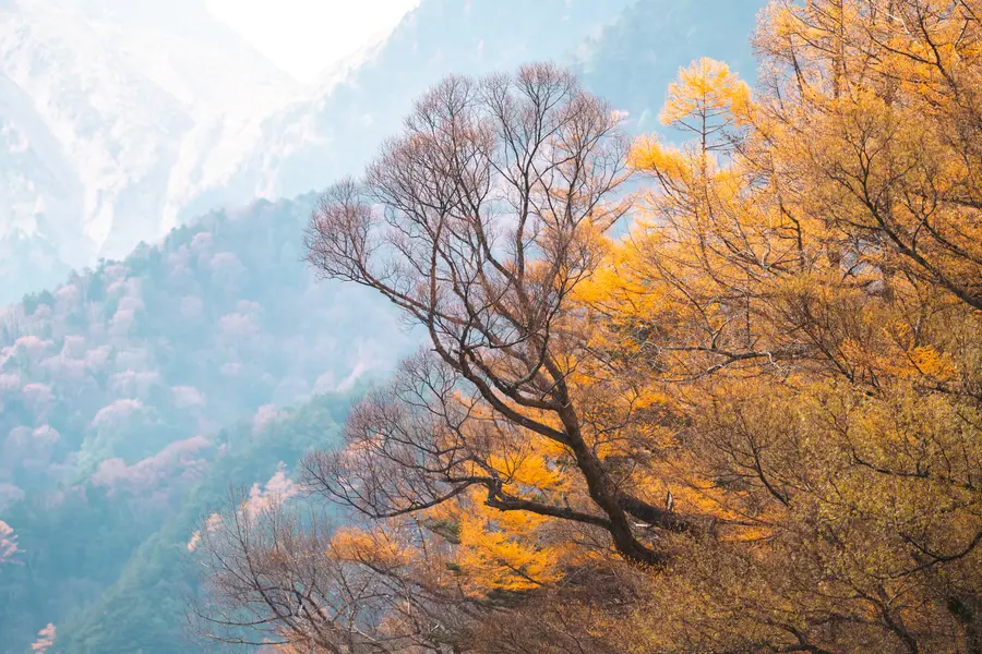 Autumn Mountain Serenity — 500-piece jigsaw puzzle