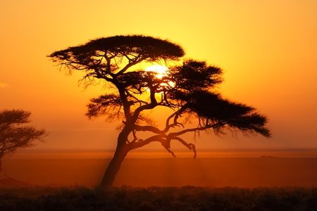 African Sunset Serenity — 200-piece jigsaw puzzle