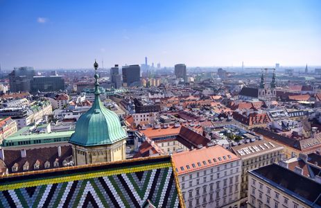 Rooftop View of Vienna — 300-piece jigsaw puzzle