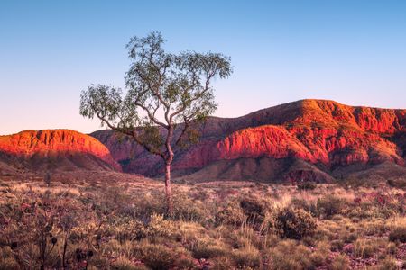 Desert Evening Glow — 200-piece jigsaw puzzle