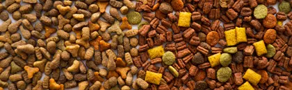 Colorful Pet Kibble — 64-piece jigsaw puzzle