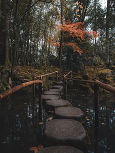 Tranquil Forest Path — 200-piece jigsaw puzzle