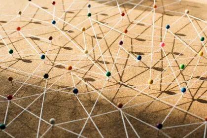 Network of Connections — 300-piece jigsaw puzzle