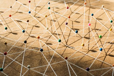 Network of Connections — 300-piece jigsaw puzzle