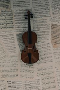 Harmony of Strings — 300-piece jigsaw puzzle