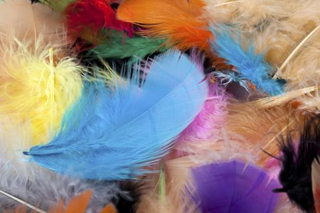Colorful Feather Array — 64-piece jigsaw puzzle