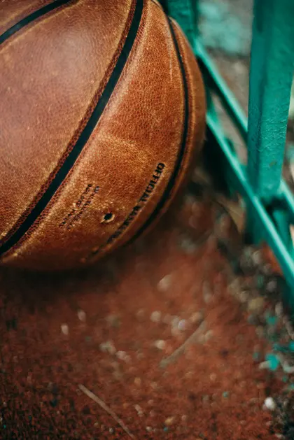 Basketball in Focus — 500-piece jigsaw puzzle