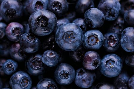 Juicy Blueberries — 200-piece jigsaw puzzle