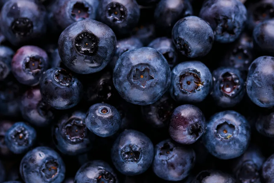 Juicy Blueberries — 200-piece jigsaw puzzle