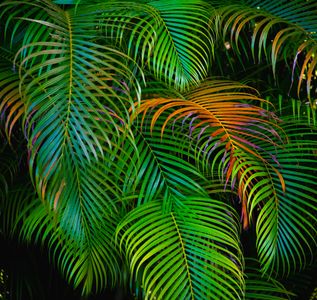 Vibrant Palm Leaves — 100-piece jigsaw puzzle