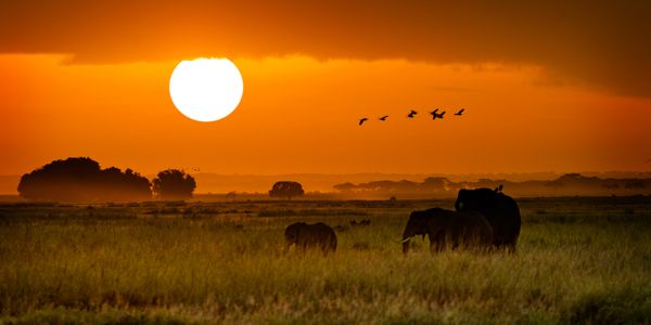 African Sunset Serenade — 200-piece jigsaw puzzle