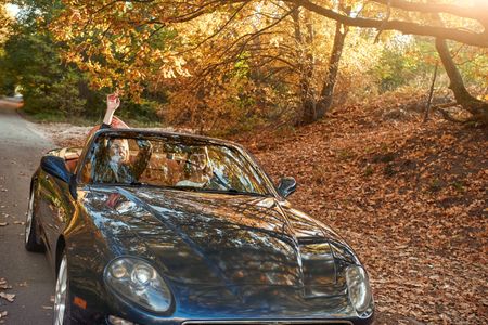 Autumn Road Trip — 300-piece jigsaw puzzle