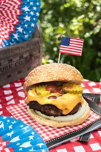 Patriotic Picnic Burger — 200-piece jigsaw puzzle