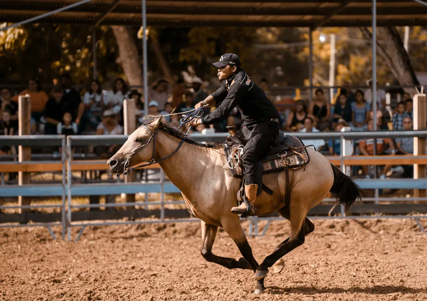 Galloping Rodeo Rider — 300-piece jigsaw puzzle
