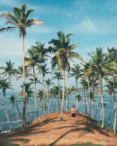 Tropical Escape — 300-piece jigsaw puzzle