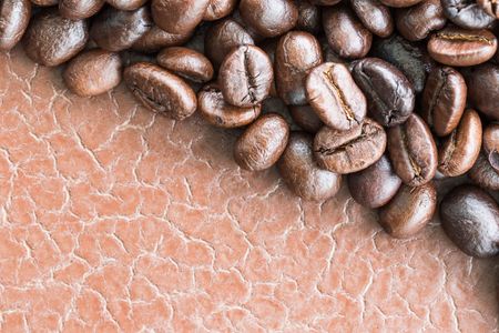 Coffee Bean Texture — 100-piece jigsaw puzzle