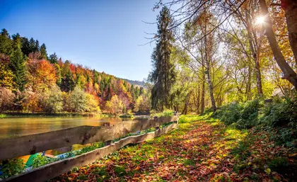 Autumn Riverbank Stroll — 100-piece jigsaw puzzle