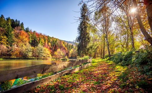 Autumn Riverbank Stroll — 100-piece jigsaw puzzle