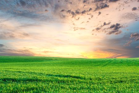Sunset Over Green Fields — 200-piece jigsaw puzzle