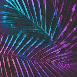 Vibrant Palm Leaves — 200-piece jigsaw puzzle