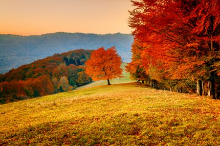Golden Autumn Landscape — 500-piece jigsaw puzzle