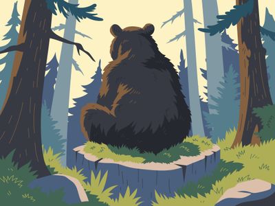 Orso nella foresta — puzzle da 100 pezzi