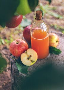 Apple Harvest Elixir — 300-piece jigsaw puzzle