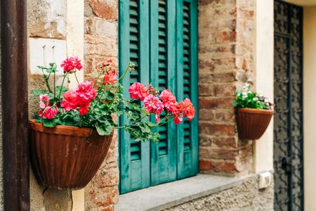 Charming Floral Window — 150-piece jigsaw puzzle